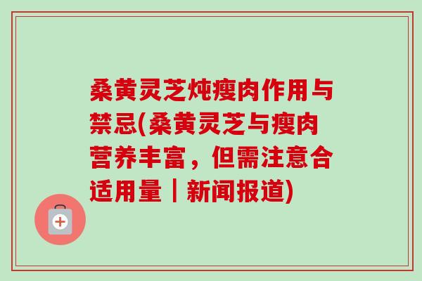 桑黄灵芝炖瘦肉作用与禁忌(桑黄灵芝与瘦肉营养丰富，但需注意合适用量｜新闻报道)