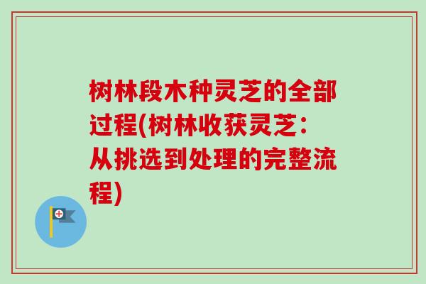 树林段木种灵芝的全部过程(树林收获灵芝：从挑选到处理的完整流程)