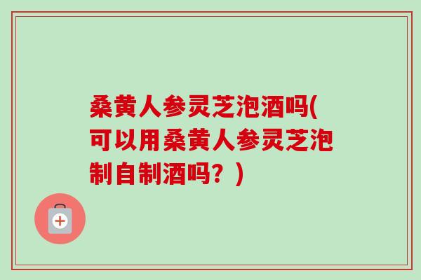 桑黄人参灵芝泡酒吗(可以用桑黄人参灵芝泡制自制酒吗？)