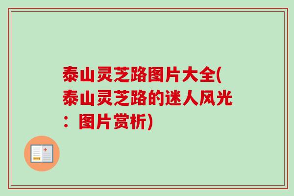泰山灵芝路图片大全(泰山灵芝路的迷人风光：图片赏析)