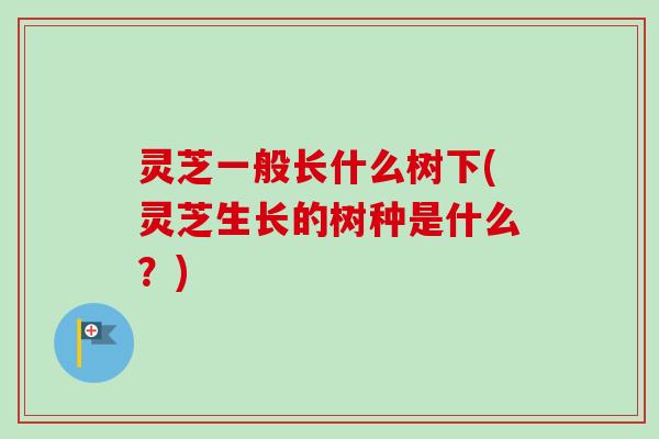 灵芝一般长什么树下(灵芝生长的树种是什么？)