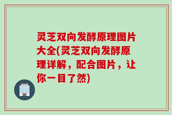 灵芝双向发酵原理图片大全(灵芝双向发酵原理详解，配合图片，让你一目了然)