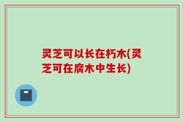 灵芝可以长在朽木(灵芝可在腐木中生长)