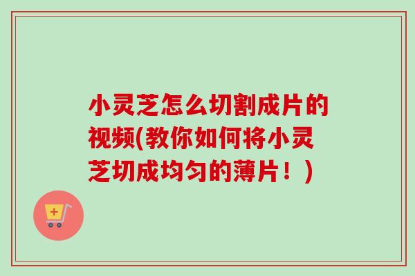 小灵芝怎么切割成片的视频(教你如何将小灵芝切成均匀的薄片！)