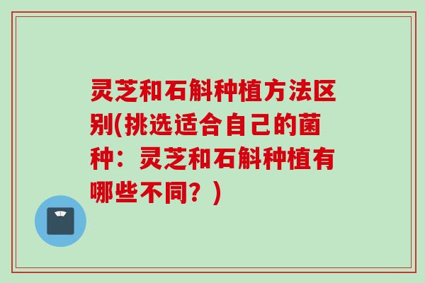 灵芝和石斛种植方法区别(挑选适合自己的菌种：灵芝和石斛种植有哪些不同？)