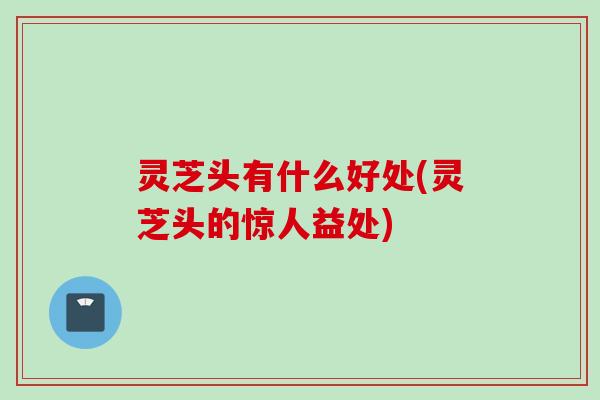 灵芝头有什么好处(灵芝头的惊人益处)