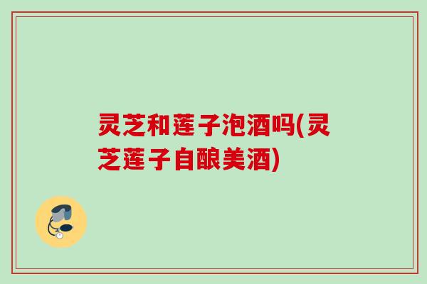 灵芝和莲子泡酒吗(灵芝莲子自酿美酒)