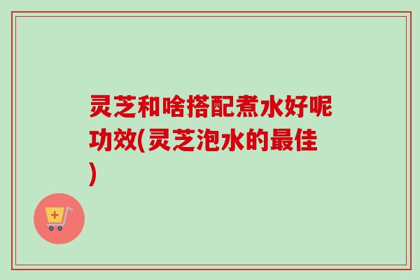 灵芝和啥搭配煮水好呢功效(灵芝泡水的最佳)