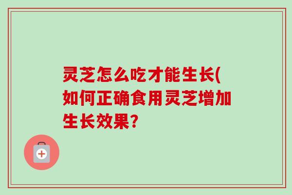 灵芝怎么吃才能生长(如何正确食用灵芝增加生长效果？