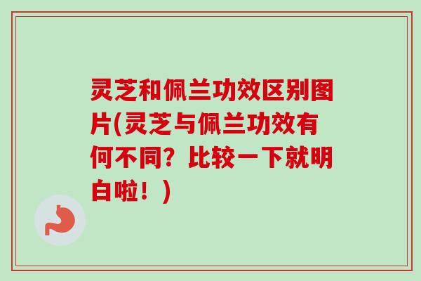 灵芝和佩兰功效区别图片(灵芝与佩兰功效有何不同？比较一下就明白啦！)