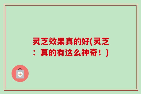 灵芝效果真的好(灵芝：真的有这么神奇！)