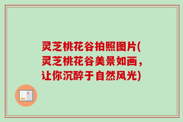 灵芝桃花谷拍照图片(灵芝桃花谷美景如画，让你沉醉于自然风光)