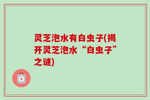 灵芝泡水有白虫子(揭开灵芝泡水“白虫子”之谜)
