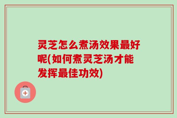 灵芝怎么煮汤效果最好呢(如何煮灵芝汤才能发挥最佳功效)