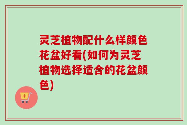 灵芝植物配什么样颜色花盆好看(如何为灵芝植物选择适合的花盆颜色)