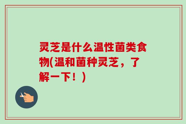 灵芝是什么温性菌类食物(温和菌种灵芝，了解一下！)