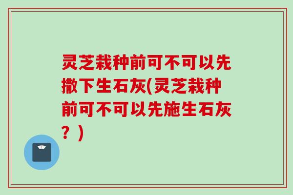 灵芝栽种前可不可以先撒下生石灰(灵芝栽种前可不可以先施生石灰？)