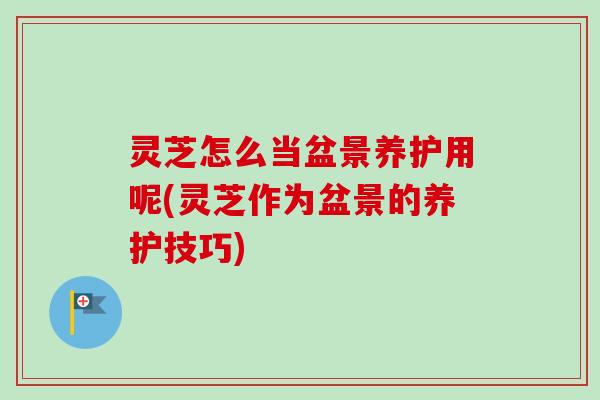灵芝怎么当盆景养护用呢(灵芝作为盆景的养护技巧)
