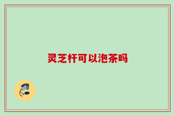 灵芝杆可以泡茶吗