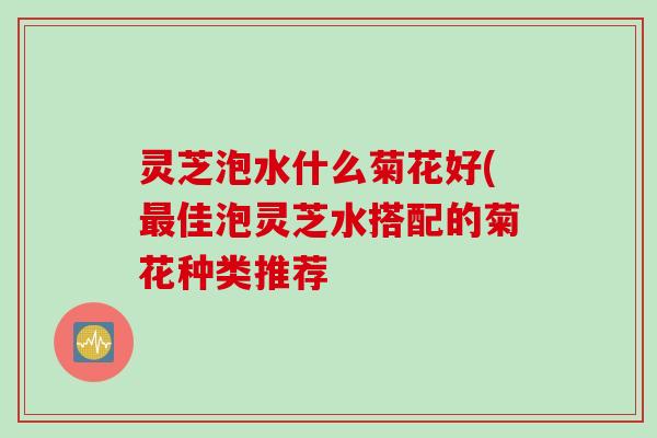 灵芝泡水什么菊花好(最佳泡灵芝水搭配的菊花种类推荐