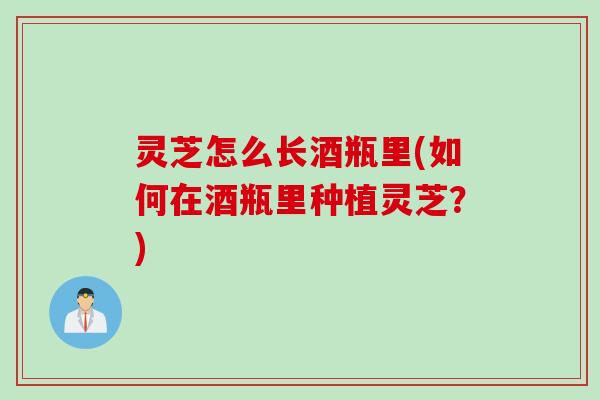 灵芝怎么长酒瓶里(如何在酒瓶里种植灵芝？)