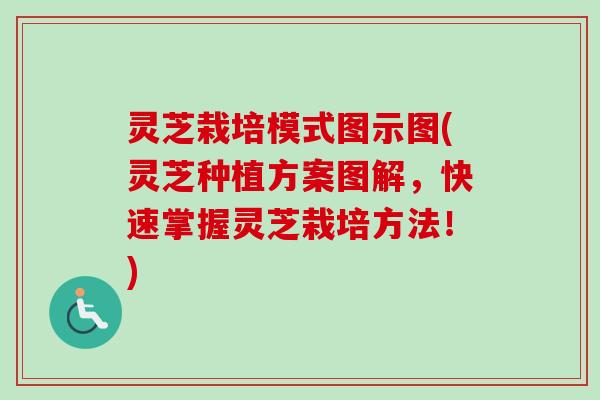 灵芝栽培模式图示图(灵芝种植方案图解，快速掌握灵芝栽培方法！)
