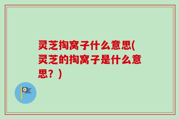 灵芝掏窝子什么意思(灵芝的掏窝子是什么意思？)