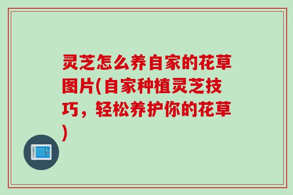 灵芝怎么养自家的花草图片(自家种植灵芝技巧，轻松养护你的花草)