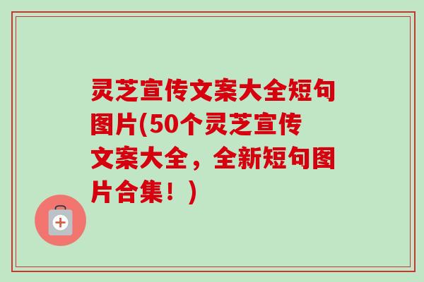 灵芝宣传文案大全短句图片(50个灵芝宣传文案大全，全新短句图片合集！)