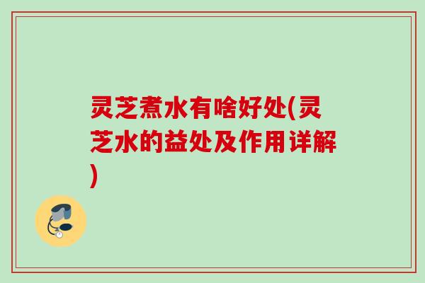 灵芝煮水有啥好处(灵芝水的益处及作用详解)