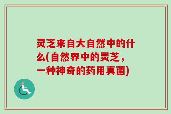 灵芝来自大自然中的什么(自然界中的灵芝，一种神奇的药用真菌)