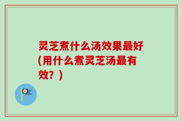 灵芝煮什么汤效果最好(用什么煮灵芝汤最有效？)