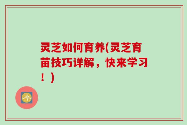 灵芝如何育养(灵芝育苗技巧详解，快来学习！)