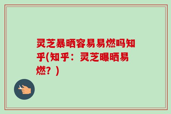 灵芝暴晒容易易燃吗知乎(知乎：灵芝曝晒易燃？)