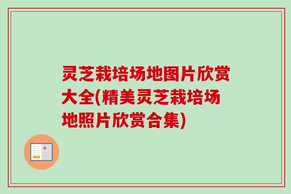 灵芝栽培场地图片欣赏大全(精美灵芝栽培场地照片欣赏合集)