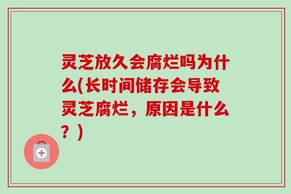 灵芝放久会腐烂吗为什么(长时间储存会导致灵芝腐烂，原因是什么？)