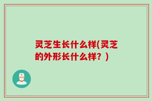 灵芝生长什么样(灵芝的外形长什么样？)