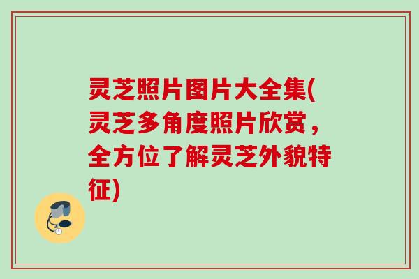 灵芝照片图片大全集(灵芝多角度照片欣赏，全方位了解灵芝外貌特征)