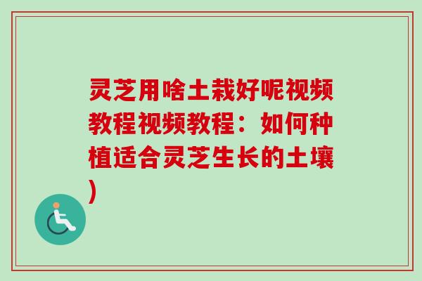 灵芝用啥土栽好呢视频教程视频教程：如何种植适合灵芝生长的土壤)