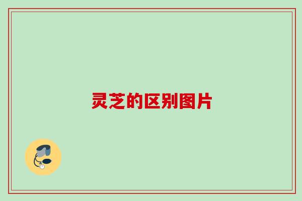 灵芝的区别图片