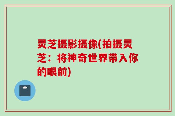 灵芝摄影摄像(拍摄灵芝：将神奇世界带入你的眼前)