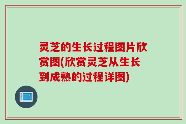 灵芝的生长过程图片欣赏图(欣赏灵芝从生长到成熟的过程详图)
