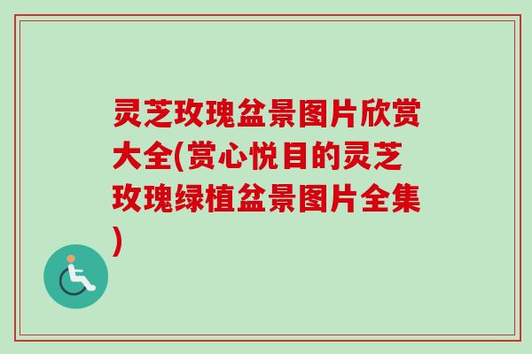 灵芝玫瑰盆景图片欣赏大全(赏心悦目的灵芝玫瑰绿植盆景图片全集)
