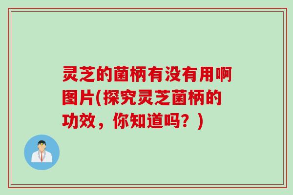灵芝的菌柄有没有用啊图片(探究灵芝菌柄的功效，你知道吗？)