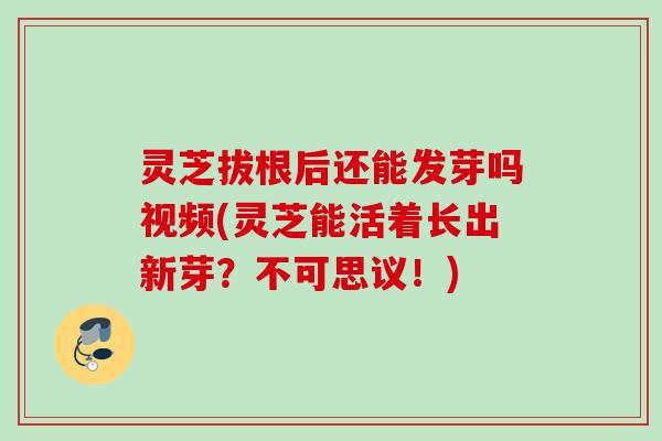 灵芝拔根后还能发芽吗视频(灵芝能活着长出新芽？不可思议！)