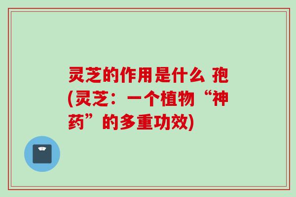 灵芝的作用是什么 孢(灵芝：一个植物“神药”的多重功效)