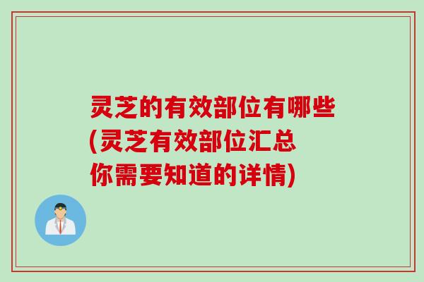 灵芝的有效部位有哪些(灵芝有效部位汇总 你需要知道的详情)