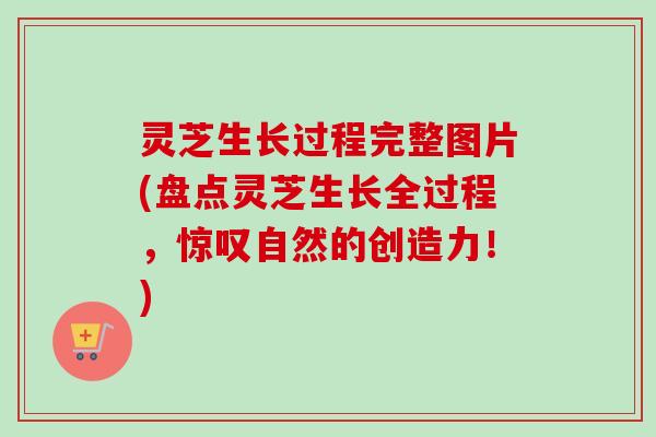 灵芝生长过程完整图片(盘点灵芝生长全过程，惊叹自然的创造力！)