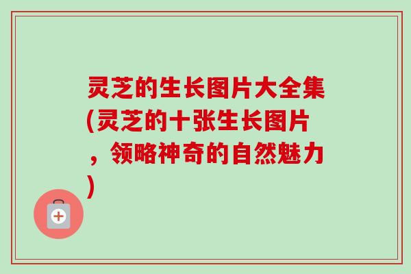 灵芝的生长图片大全集(灵芝的十张生长图片，领略神奇的自然魅力)