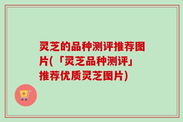 灵芝的品种测评推荐图片(「灵芝品种测评」推荐优质灵芝图片)